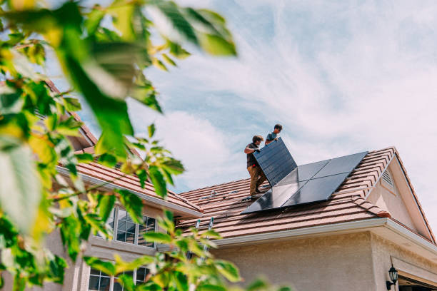 Best Roof Gutter Cleaning  in La Mesilla, NM